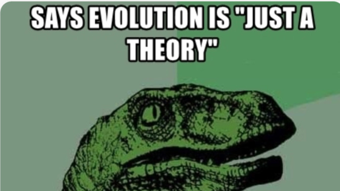 Have you ever met someone that believes in both Evolution and creation?