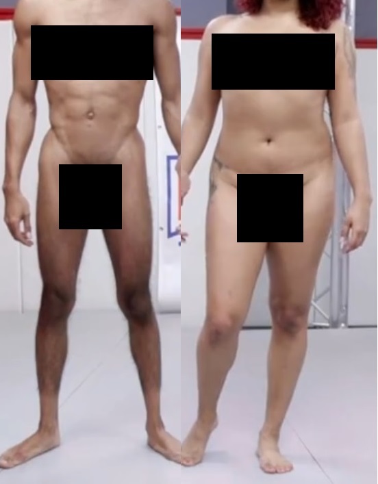 Which of these bodies is male and which is female and how can you tell?