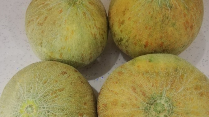 Hey what do you liken the melons 🍈 in the Pic below? Why are they so small? What kind of melons are these?