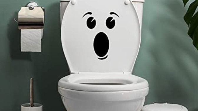 What would you do if your girlfriend pooped in the toilet and forgot to flush?