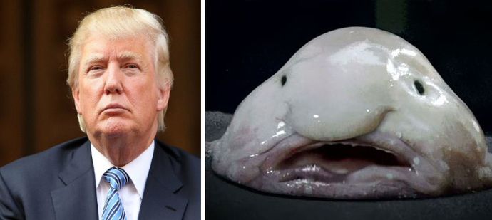 Stephen King isn't a fan of Donald Trump. What sort of scary monster or creature should he turn Trump into in his next book?