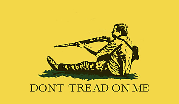 What does the 'Don't Tread on Me' flag mean?