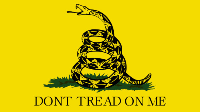 What does the 'Don't Tread on Me' flag mean?