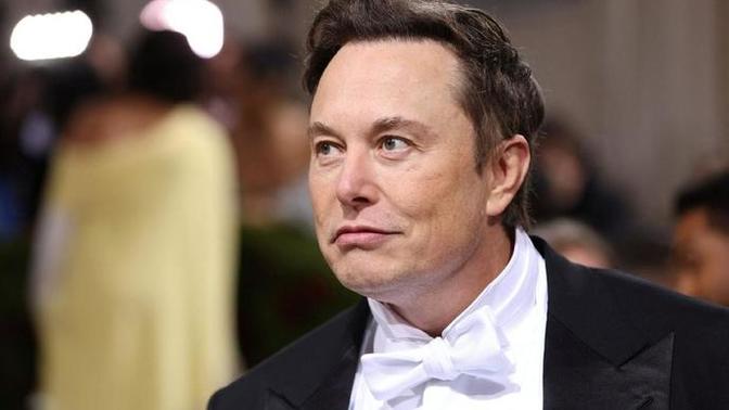 Was Elon Musk born into wealth?
