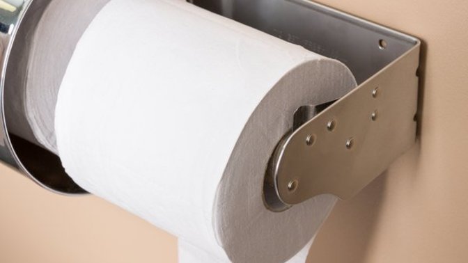Toilet paper... why do only humans use it?