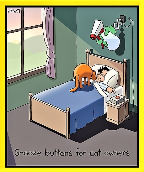Do you set you’re alarm clock for the person you actually are, or the person you wish you were? ?