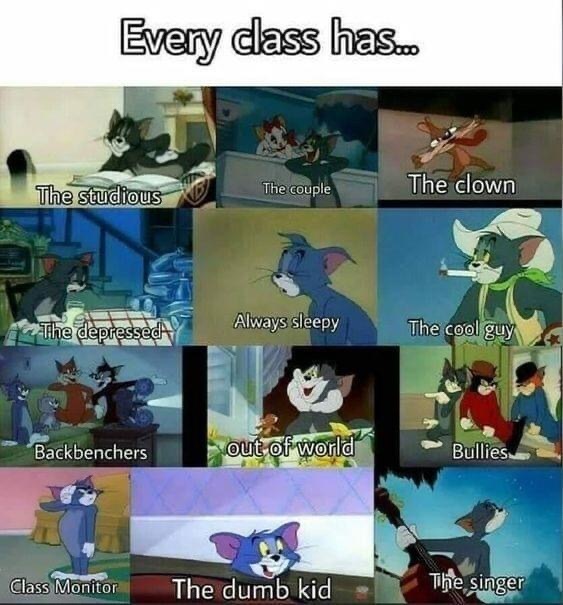 I’m a fusion of some here 🤣