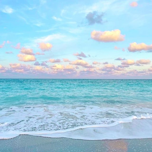 Would you rather live in the sea or in the sky?