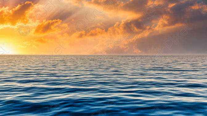 Would you rather live in the sea or in the sky?