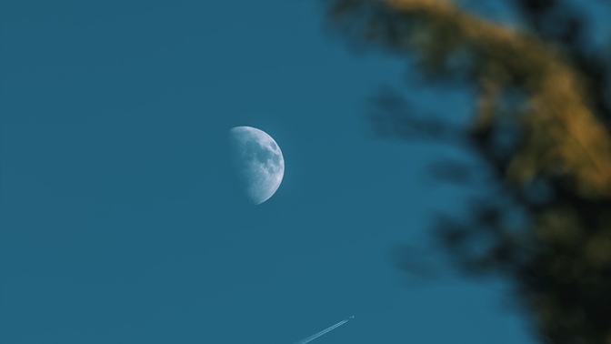 Do you think Earth is ready to meet Extraterrestrials?