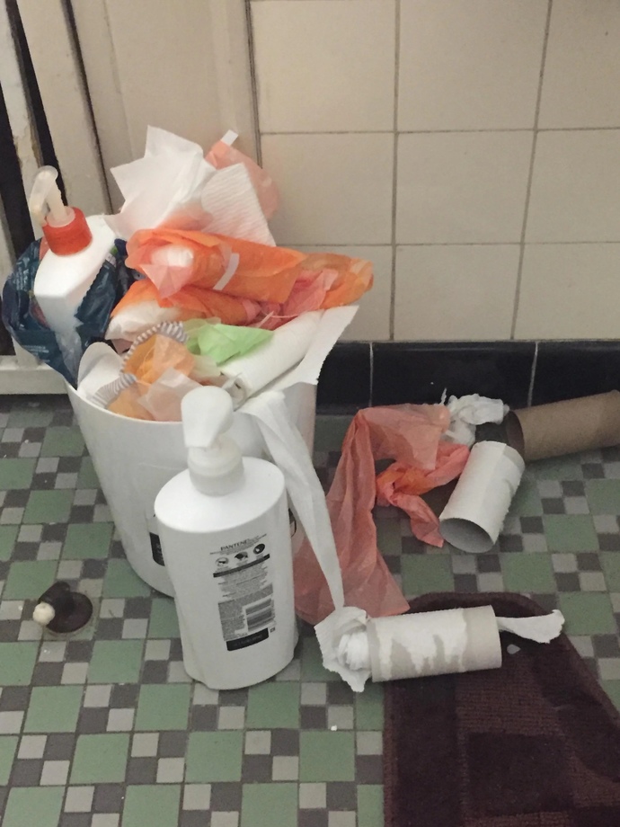 Went over to my girlfriend’s house to meet her parents for the first time and borrowed her restroom and her trash looked like this. Is that normal?