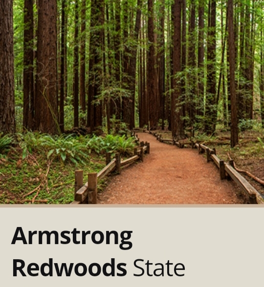 What would be nice about visiting this place?