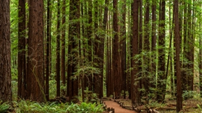 What would be nice about visiting this place?