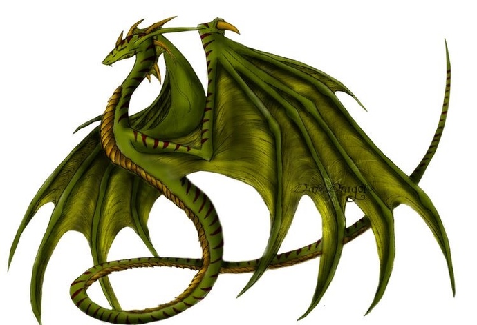 What's your favorite type of dragon?