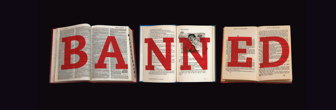 How do you generally feel about schools banning books for students to read?