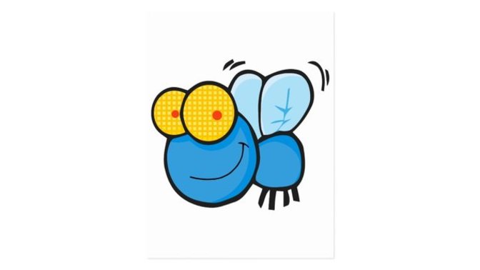 Why do flies hide by your door and fly in when you open it?