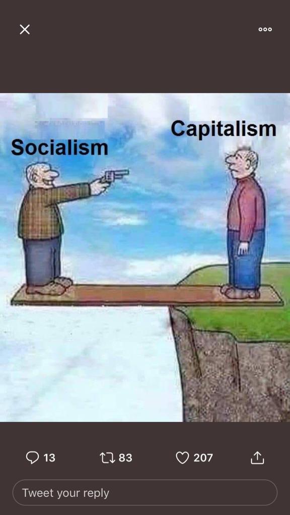 Which of these Socialism memes do you like the most?