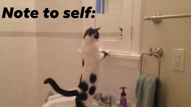 What do you tell yourself in the mirror everyday?