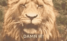 #NoSpoilers Are you going to see the Idris Elba film “Beast”?
