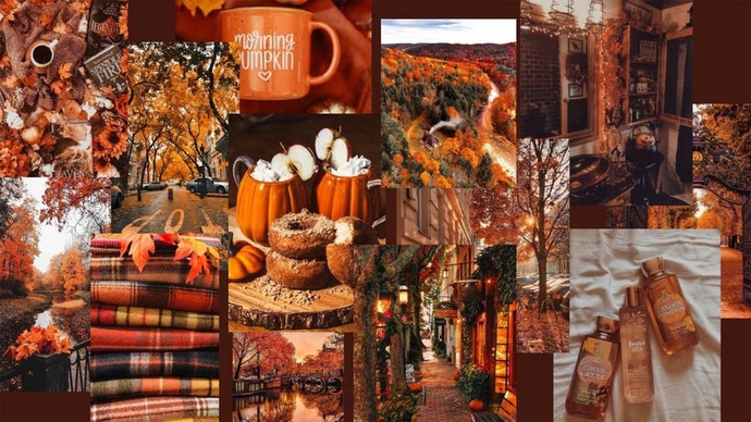 What season is your favorite?