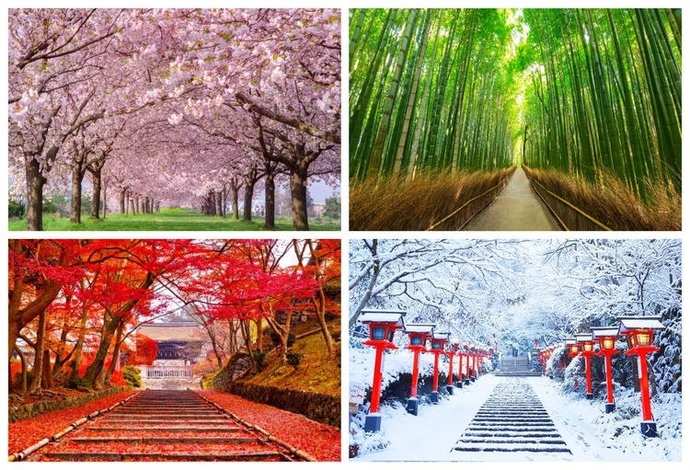 What season is your favorite?