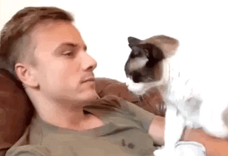 Which of these common cat behaviors do you find the cutest?