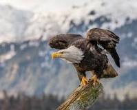 Got any birdseed on ya?