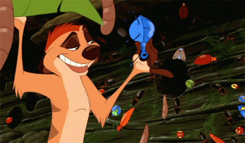 Are you willing to eat bugs to save the planet?