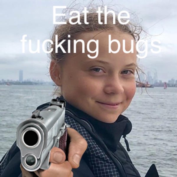 Are you willing to eat bugs to save the planet?