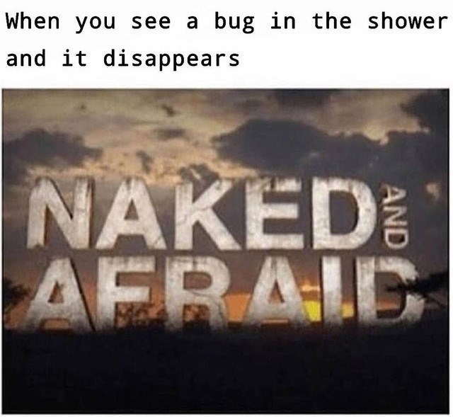Would you compete on Naked and afraid?
