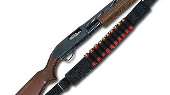 Shotgun or super shotgun?