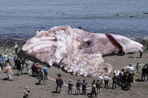 Would you take it to eat?