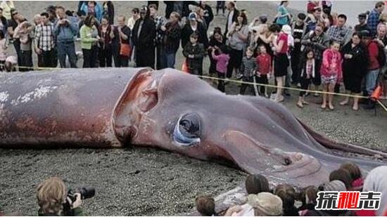 Would you take it to eat?