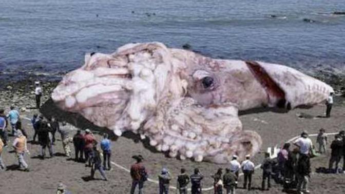Would you take it to eat?