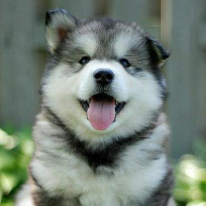 What never fails to bring a smile to your face?