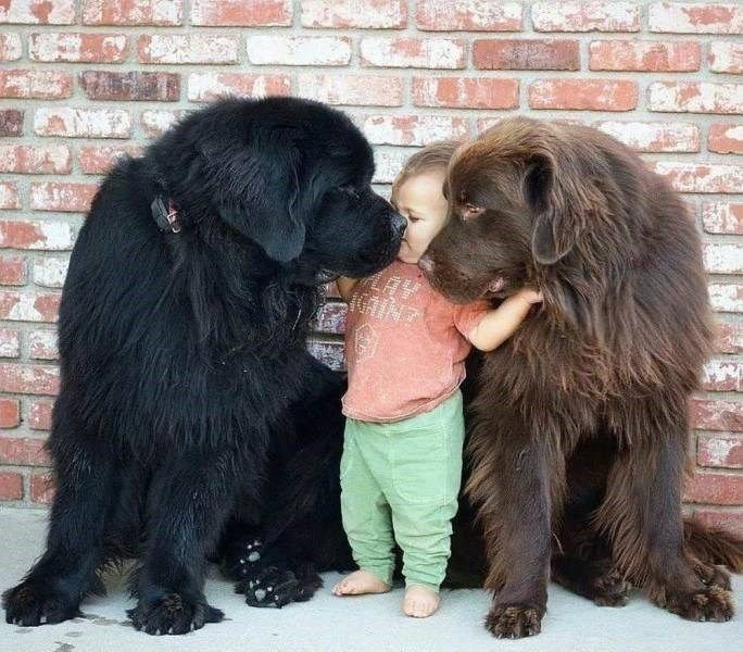 What never fails to bring a smile to your face?