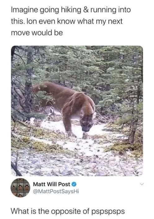 🤣 I’d bury myself 🪦