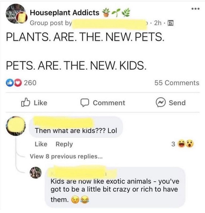 Would you rather have pets or plants or both or none or kids? Why/why not?