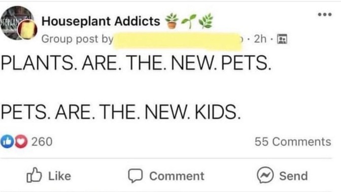 Would you rather have pets or plants or both or none or kids? Why/why not?