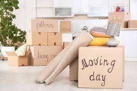 What are some Important things you Do on Moving Day?