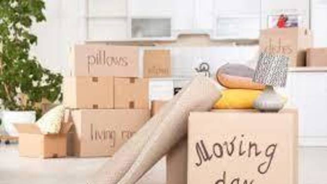What are some Important things you Do on Moving Day?