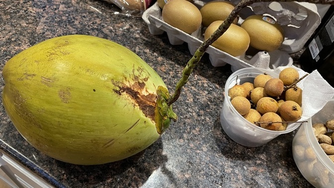 Ever received a coconut as a gift?