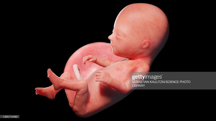 When YOU talk about "reproductive rights," to what are you referring? Does it mean anything more than having abortion available on demand?