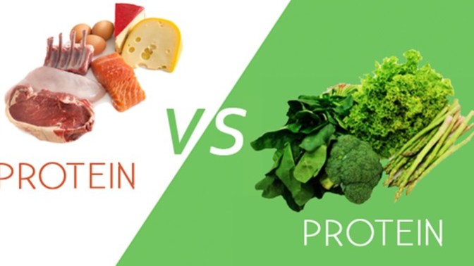 Do you think you can get all your proteins just by eating veggies and fruits?