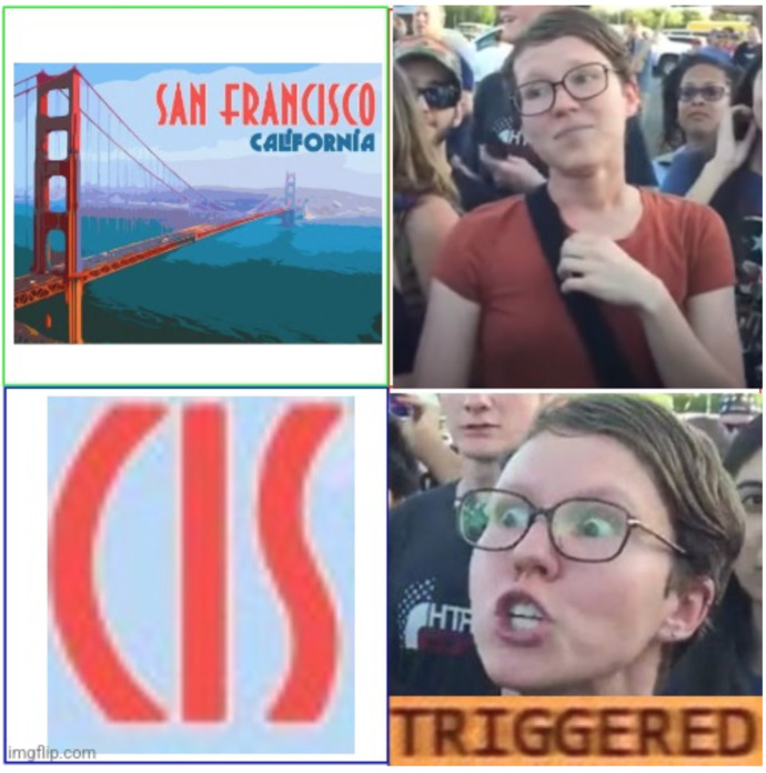 Which of these woke memes do you like the most?