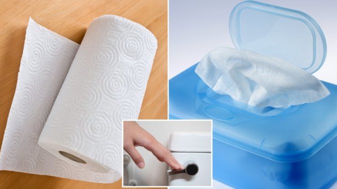 Do you just use toilet paper, wipes or both, and if so do flush it all?