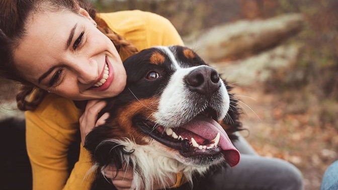 Do you have pet insurance? How does it work out for you?