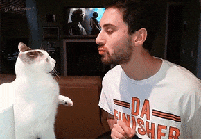 Do you own the cat or does the cat own you?