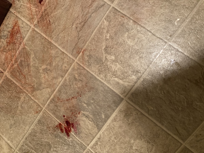 What do you Think this is?