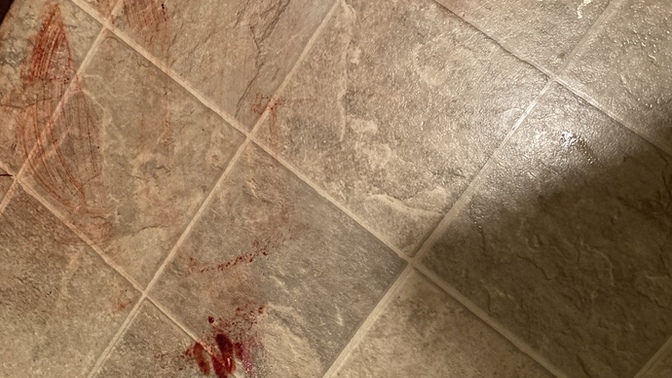 What do you Think this is?